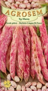 Fasole pitica Borlotto Lingua di Fuoco 50g - Seminte soi timpuriu, fasole oloaga tarcata, bej cu bordo, Agrosem
